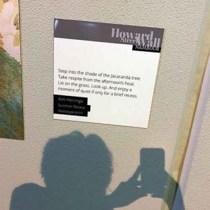 Summer Recess wall didactic