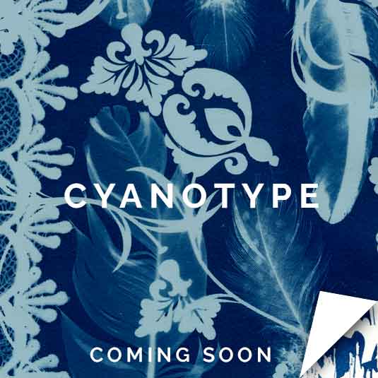 Cyanotype Workshop Online