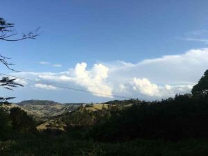 the inspiration for Eagles Nest reduction linocut print