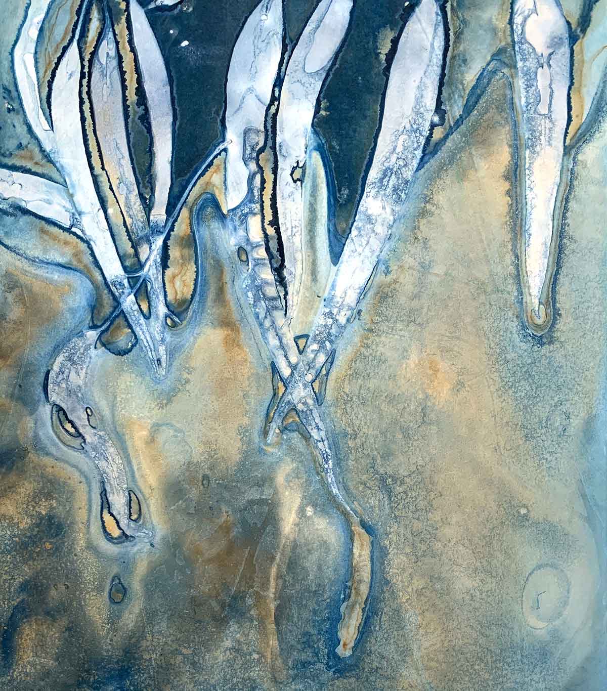 Kim Herringe - Wet Cyanotype