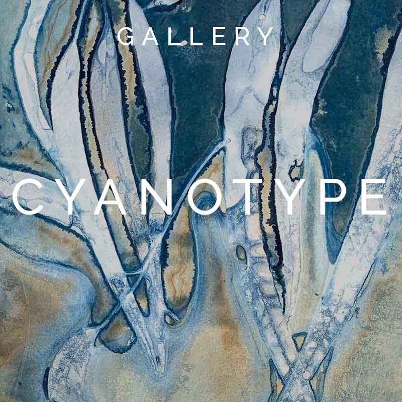 Cyanotype Gallery