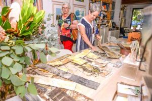 Open Studios Sunshine Coast 2022