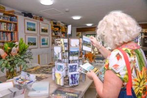 Open Studios Sunshine Coast 2022