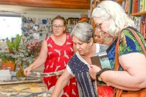Open Studios Sunshine Coast 2022