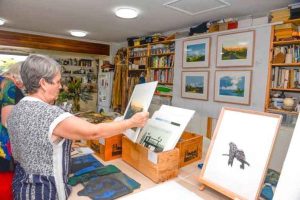 Open Studios Sunshine Coast 2022