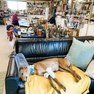 Treasure Boxes & Enclosures Workshop June 2022