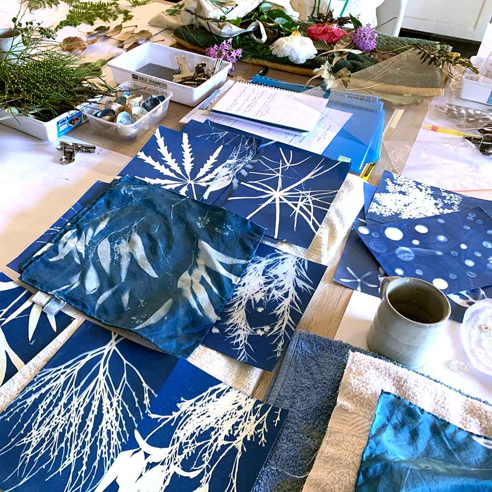 cyanotype workshop june 2022