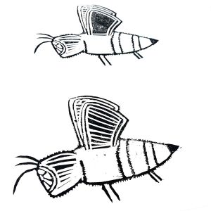 Linocut 101 workshop August 2022