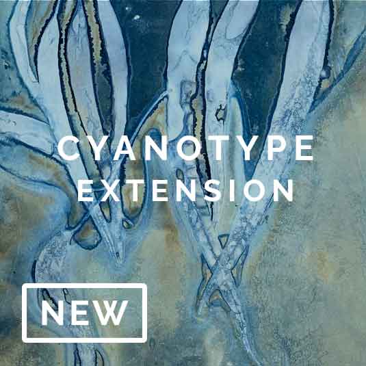 Cyanotype Extension Workshop