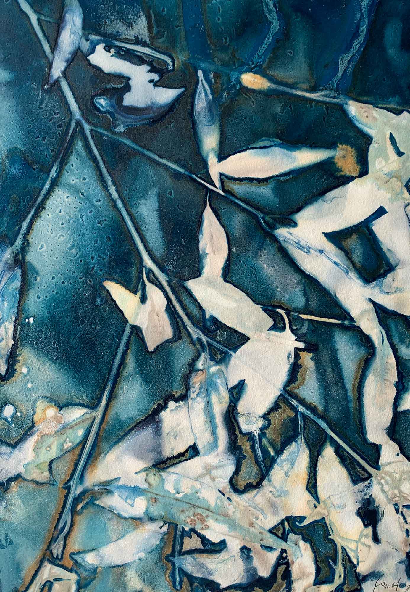 The sky through the eucalyptus I - Kim Herringe, wet cyanotype