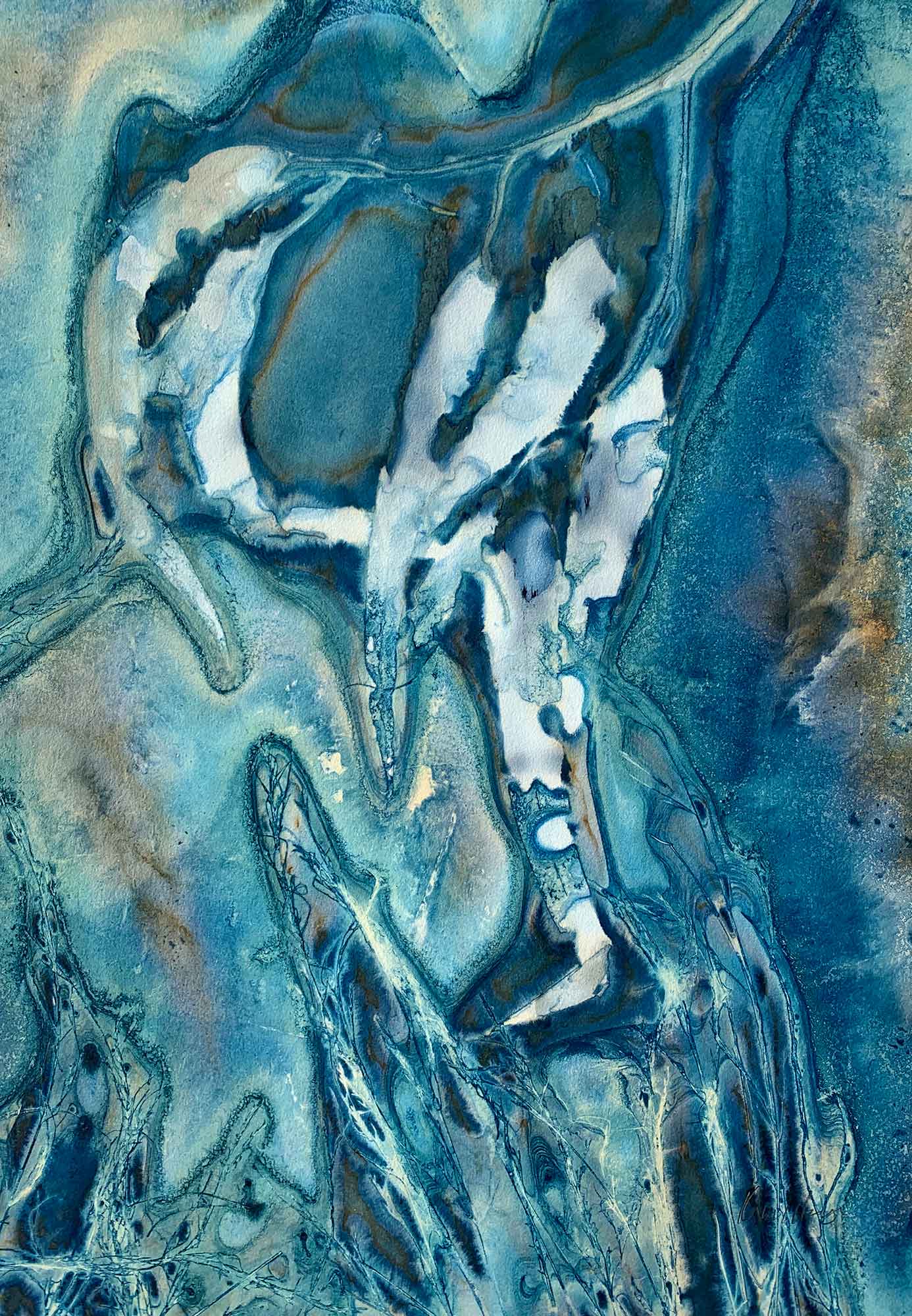 The sky through the eucalyptus III - Kim Herringe, wet cyanotype