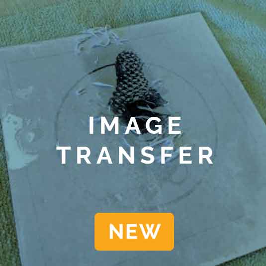 Image Transfer Workshop 2024