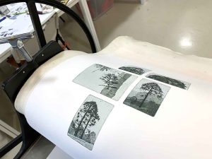printing my Hinterland Bunyas etching