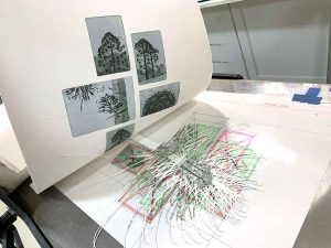 printing my Hinterland Bunyas etching