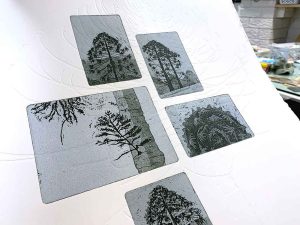 printing my Hinterland Bunyas etching