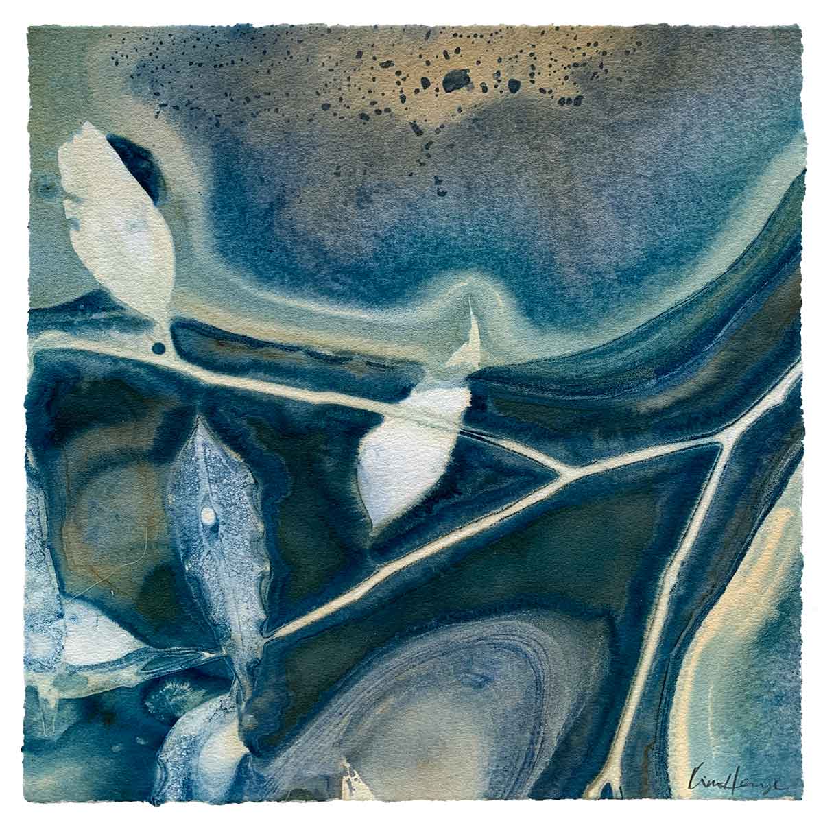 Water's Harvest 5 - Cyanotype - Kim Herringe