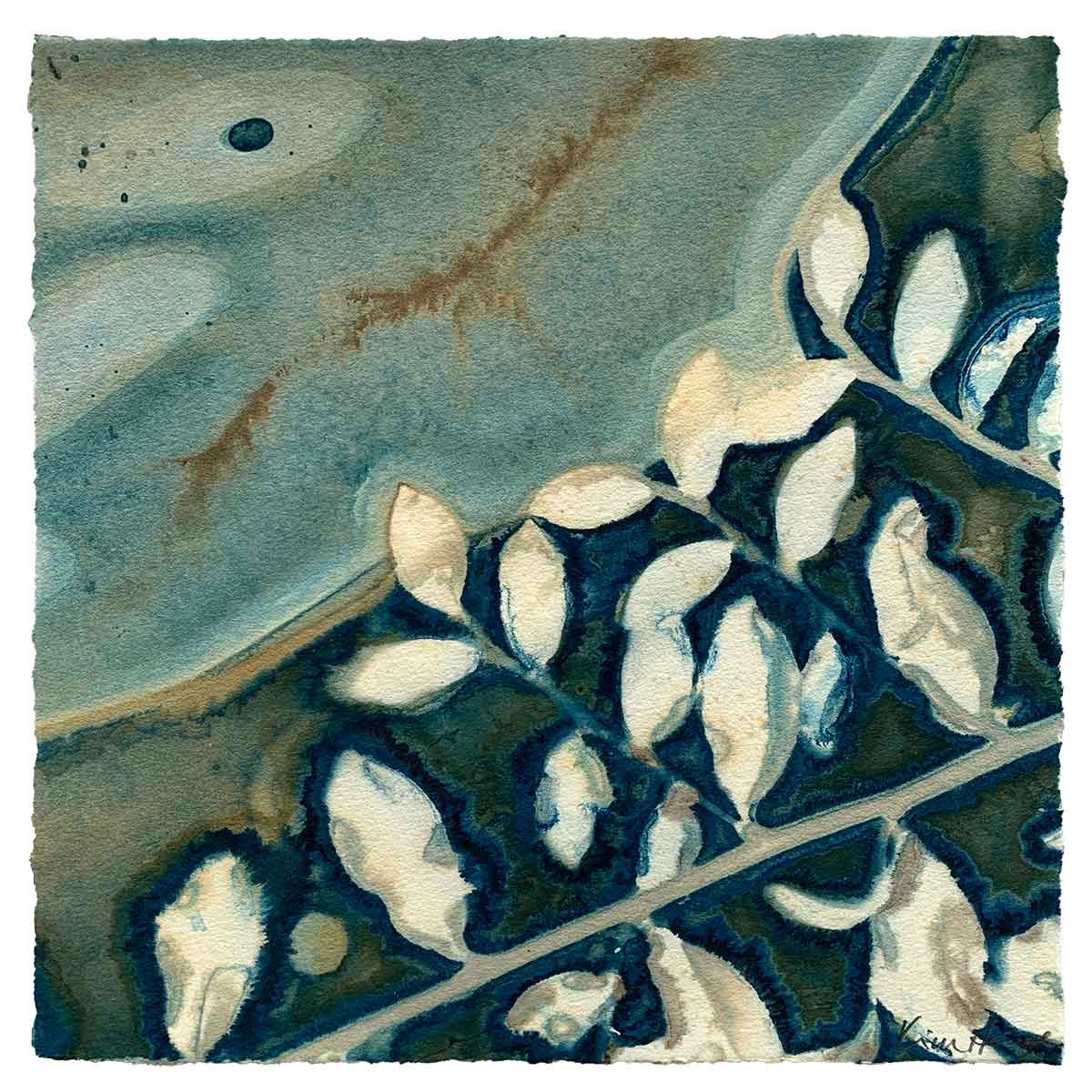 Water's Harvest 7 - Cyanotype - Kim Herringe