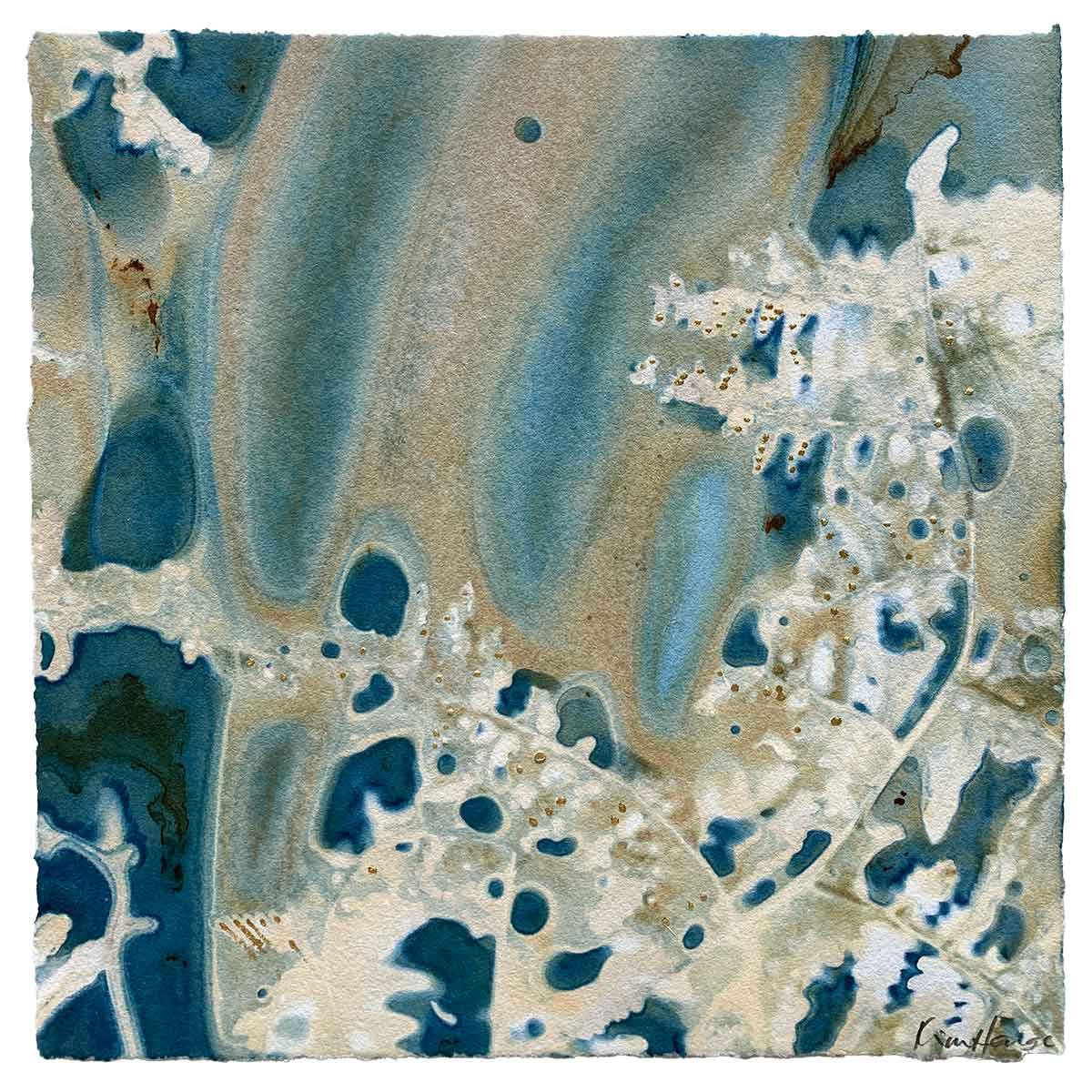 Water's Harvest 4 - Cyanotype - Kim Herringe