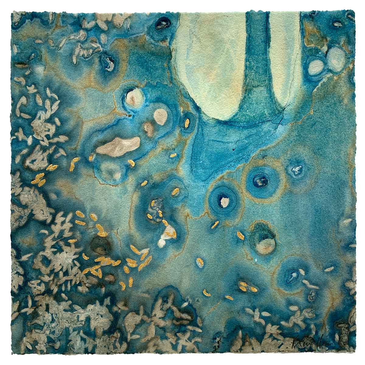 Water's Harvest 3 - Cyanotype - Kim Herringe