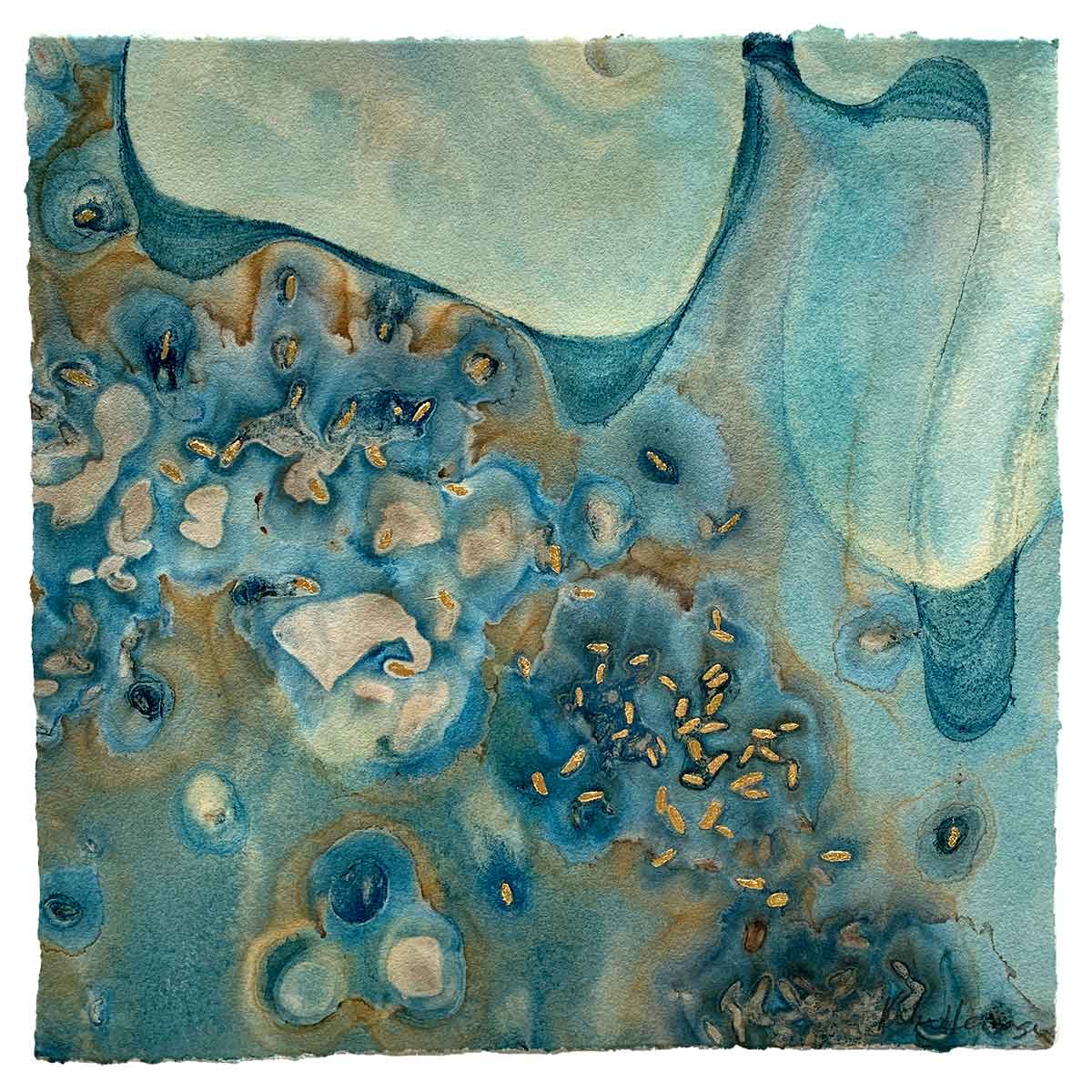 Water's Harvest 2 - Cyanotype - Kim Herringe