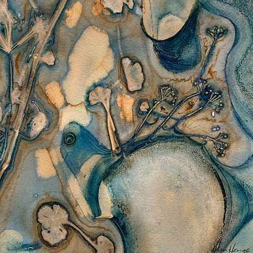 Water's Harvest 1 - Cyanotype - Kim Herringe