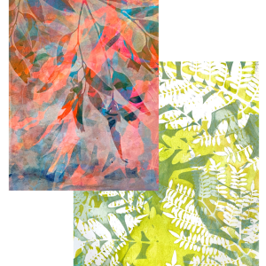 Beyond The Basics of Monoprinting with Gelatin Plates