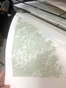 The Sour Cherry Tree - Reduction Linocut