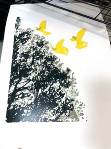 The Sour Cherry Tree - Reduction Linocut