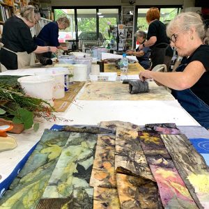 Eco-printing on Paper extension Workshop April 24
