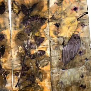 Eco-printing on Paper extension Workshop April 24