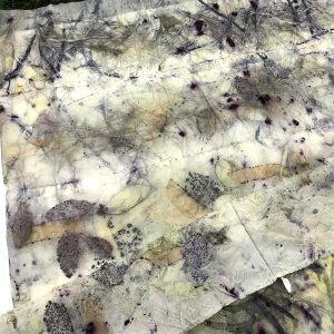 Eco-printing on Paper extension Workshop April 24