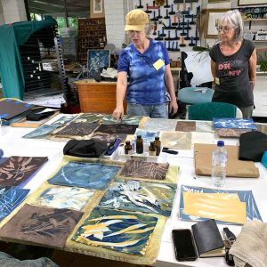 Cyanotype Beyond the Basics May 2024