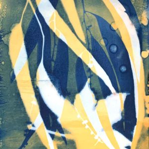 Cyanotype Beyond the Basics May 2024