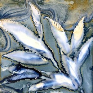 Cyanotype Beyond the Basics May 2024