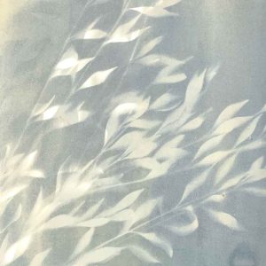 Cyanotype Beyond the Basics May 2024