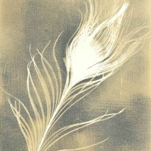 Cyanotype Beyond the Basics May 2024