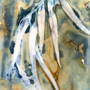 Cyanotype Beyond the Basics May 2024