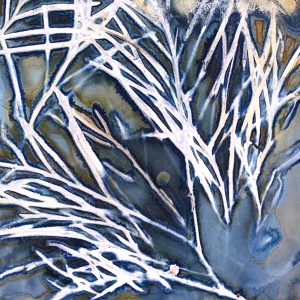 Cyanotype Beyond the Basics May 2024