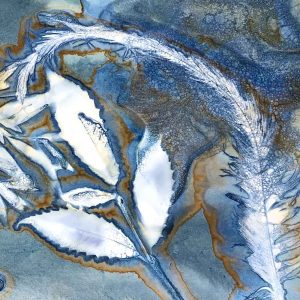 Cyanotype Beyond the Basics May 2024