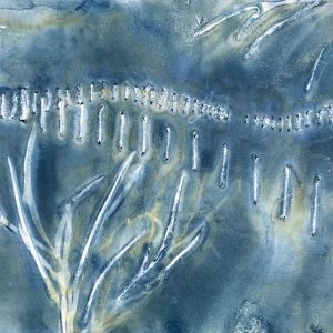 Cyanotype Beyond the Basics May 2024