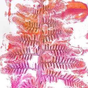 Gel Plate Monoprinting April 2024