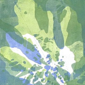 Gel Plate Monoprinting Beyond the Basics with Toowoomba's Saturday Printmakers