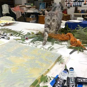 Monty, a printmakers cat