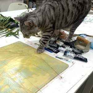 Monty, a printmakers cat