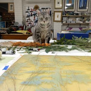 Monty, a printmakers cat
