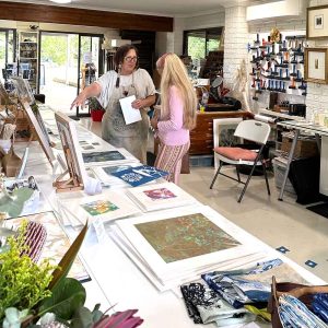 Open Studios Sunshine Coast 2024