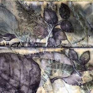 Eco-printing on paper June 2024