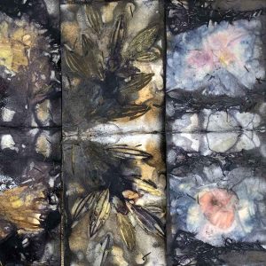 Eco-printing on Paper extension Workshop June 2024