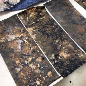 Eco-printing on Paper extension Workshop June 2024