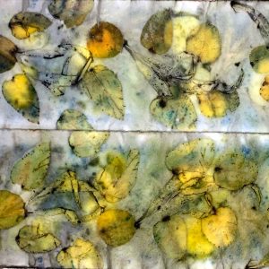 Eco-printing on Paper extension Workshop June 2024